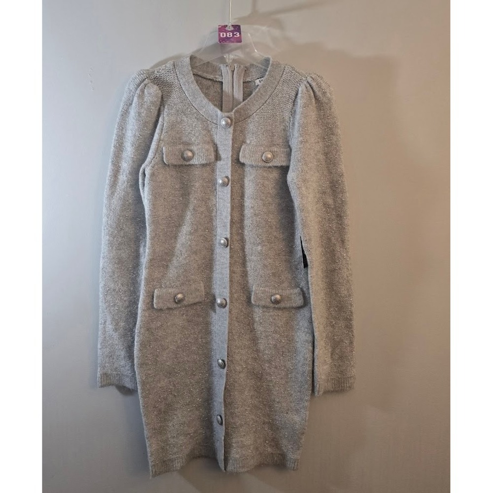Express Womens Sweater Dress Gray Metallic Shimmer Long Sleeve Mini Size S NEW